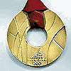 2006 Turijn medaille