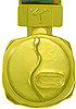 1972 Sapporo medaille
