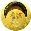 1198 Nagano  medal